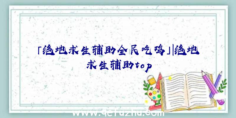 「绝地求生辅助全民吃鸡」|绝地求生辅助top